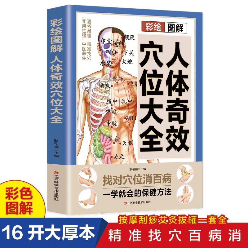 Health & Wellness Alegria - Acupoint Massage & TCM Health Preservation