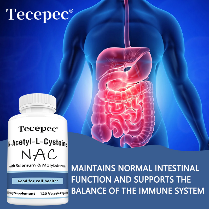 NAC Capsules – Antioxidant, Su - Health Wellness & Nutrition Center Llc ulasan dan harga
